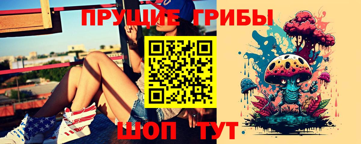Галлюциногенные грибы Psilocybine cubensis Рыбинск